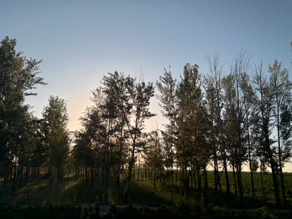 Sunset at Ulungur Lake