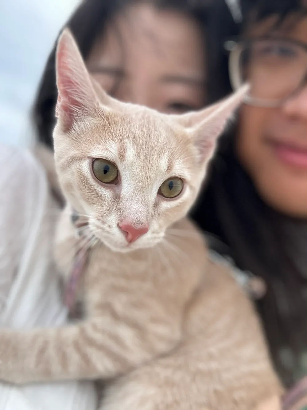 Milky at the beach